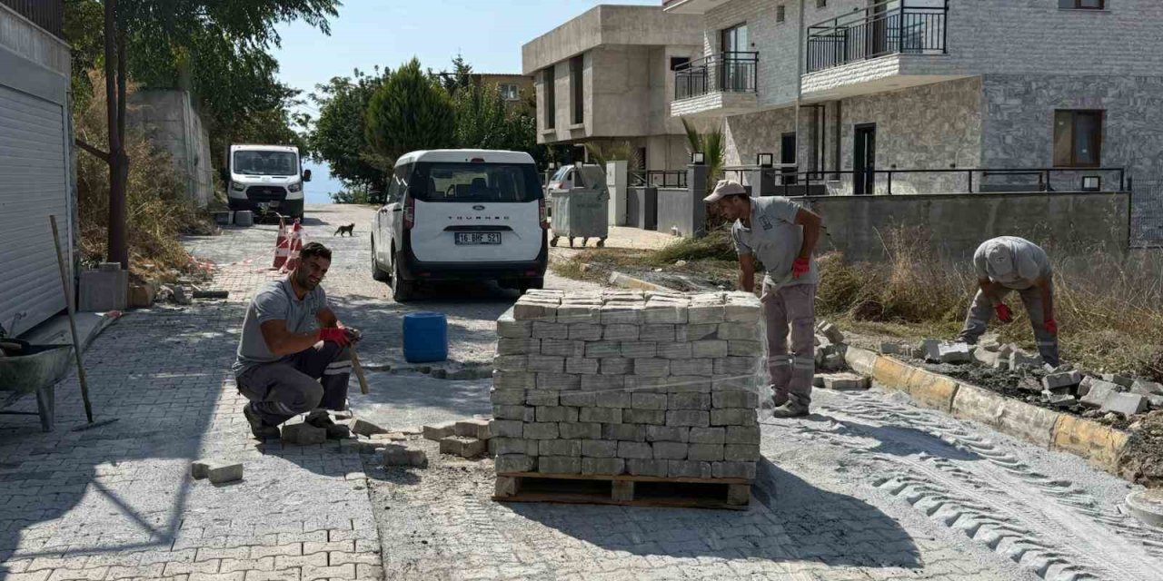 Kuşadası’nda ekipler 56 noktada sahaya indi
