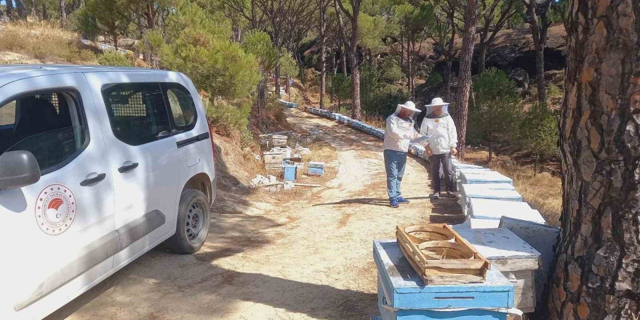 Bozdoğan’da arılı kovan desteği için sahada tespit çalışması