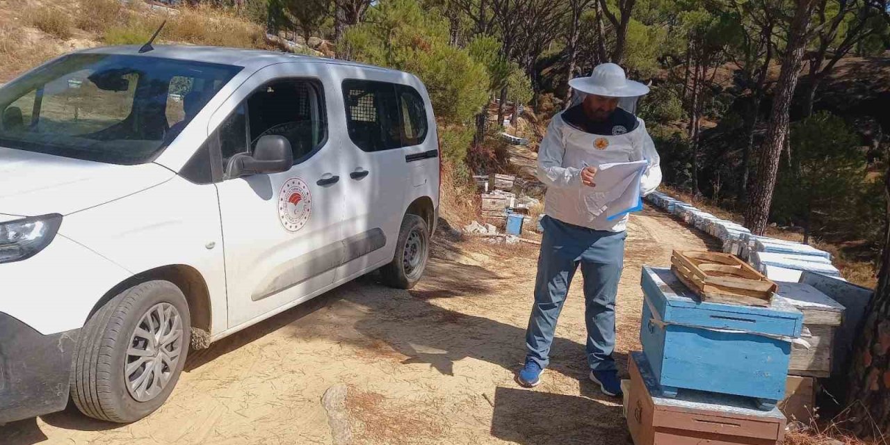 Bozdoğan’da arıcılara yönelik destek çalışmaları sürüyor