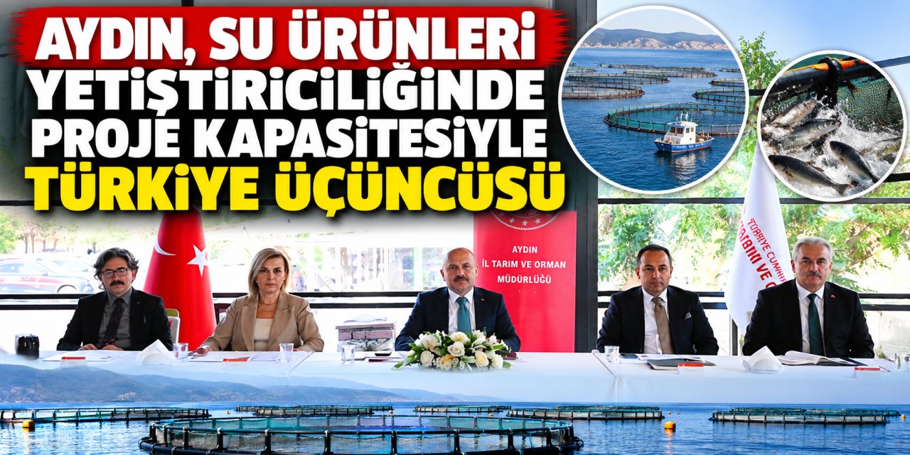 Aydın, su ürünleri yetiştiriciliğinde proje kapasitesiyle Türkiye üçüncüsü