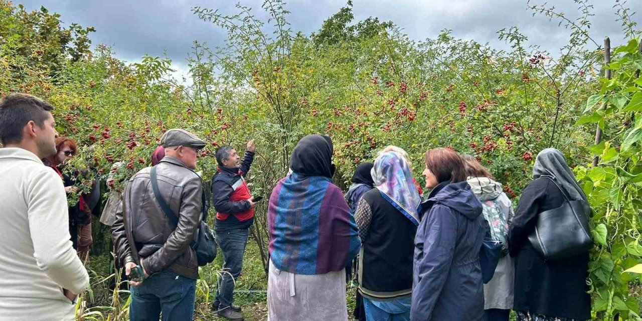 Eskişehirli kadın çiftçiler Kütahya’da üretim alanlarını inceledi