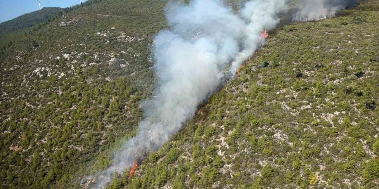 Bodrum’da orman yangını çıktı