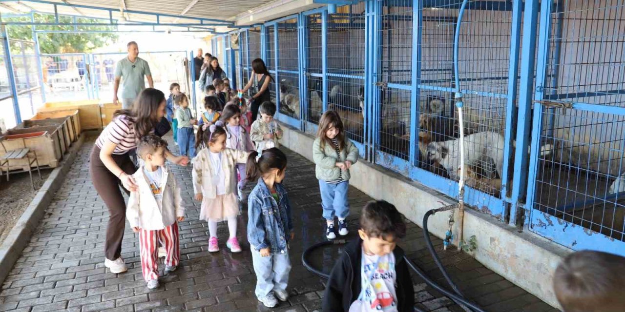 Nazilli’de minik öğrenciler can dostlarla bir araya geldi