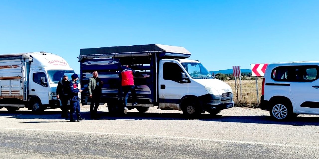 Uşak’ta hayvan sağlığı için yol kontrolleri sürüyor