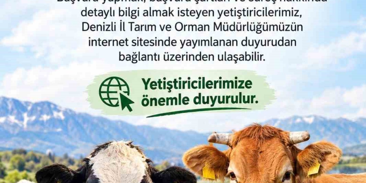 Denizli’de 2027 yılı besilik sığır ithalatı başvuruları başladı
