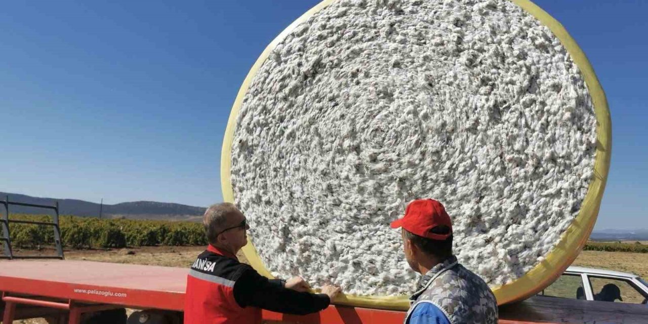 Saruhanlı’da beyaz altın mesaisi başladı