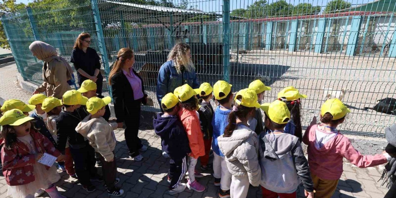 Minikler bakımevindeki hayvanlarla buluştu
