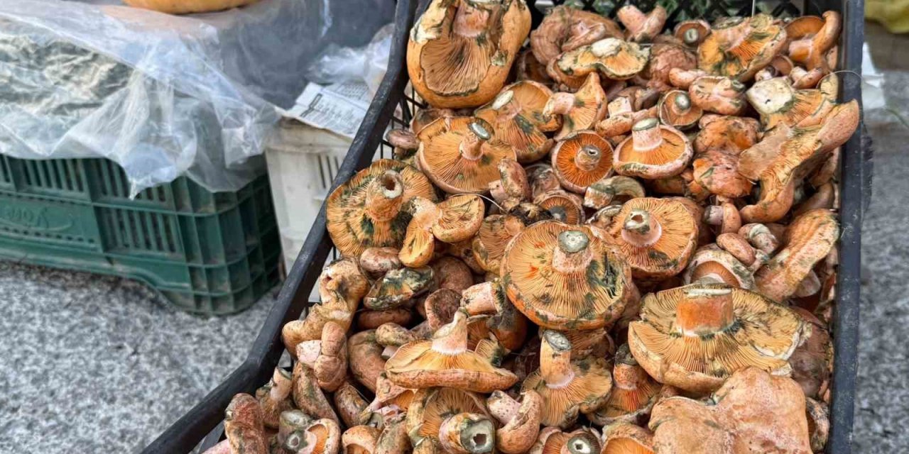 Menteşe’de ilk çıntarlar tezgahlarda