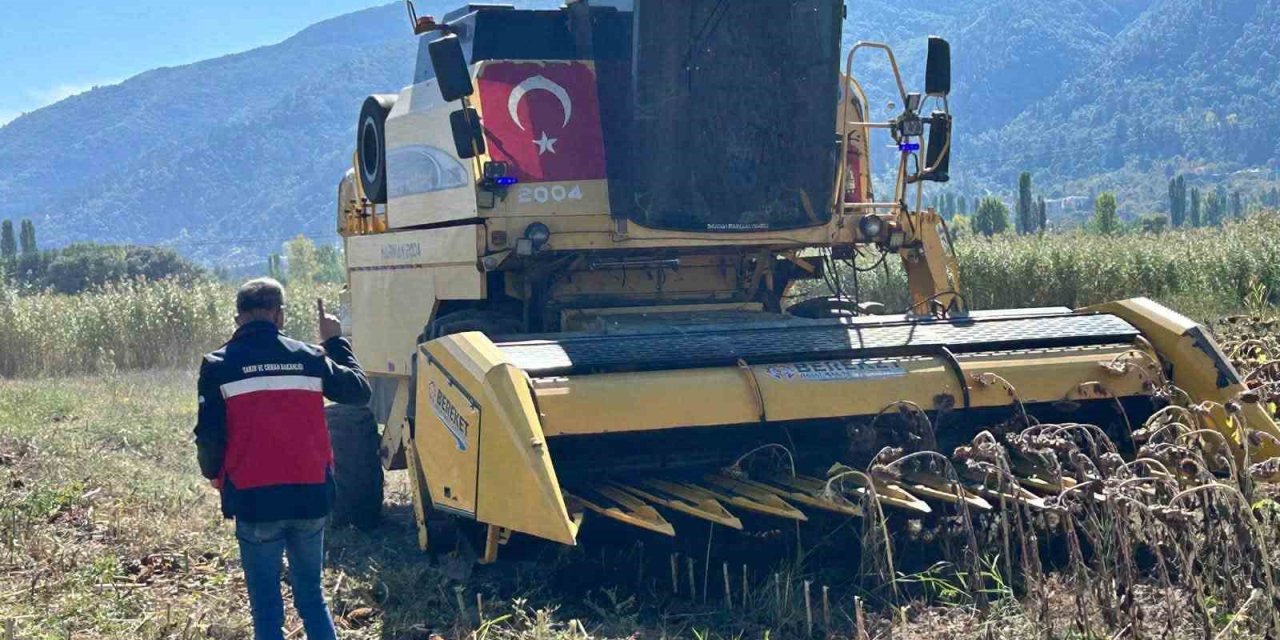 Simav’da Yüzde 75 hibeli ayçiçeğinde hasat kontrolü