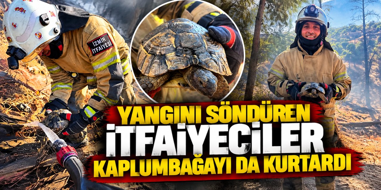 Yangını söndüren itfaiyeciler kaplumbağayı da kurtardı