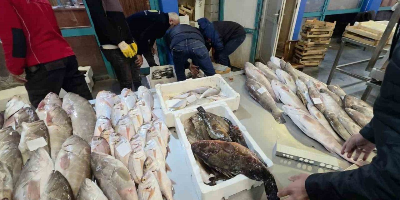 Buca Balık Hali’nde gece denetimi: Yasa dışı avlanan su ürünlerine el konuldu