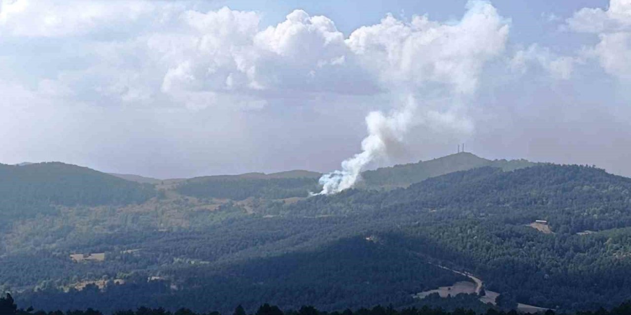 Hisarcık’ta ormana sıçrayan yangında 6 dekar alan zarar gördü