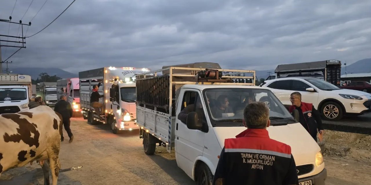 Nazilli Hayvan Pazarı açıldı, denetimler sıkılaştırıldı