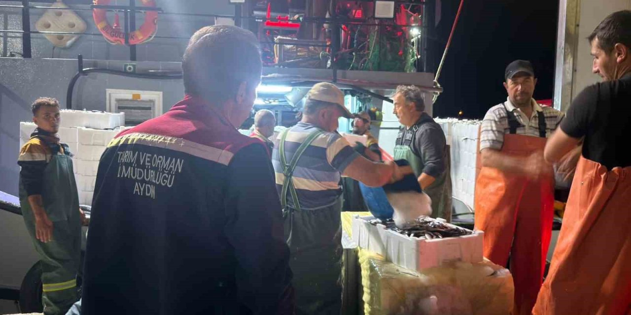 Didim’de ‘Hamsi Kotası’ denetimi yapıldı