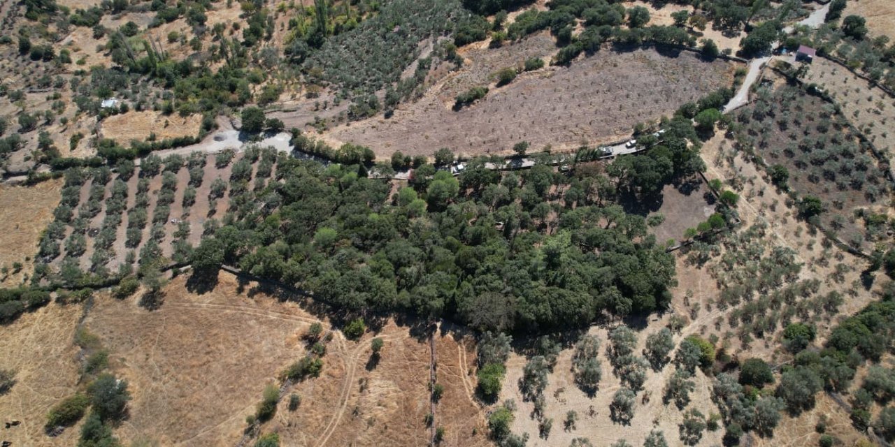 Manisa’da 500 yıllık mezarlıkta kapsamlı bakım çalışması