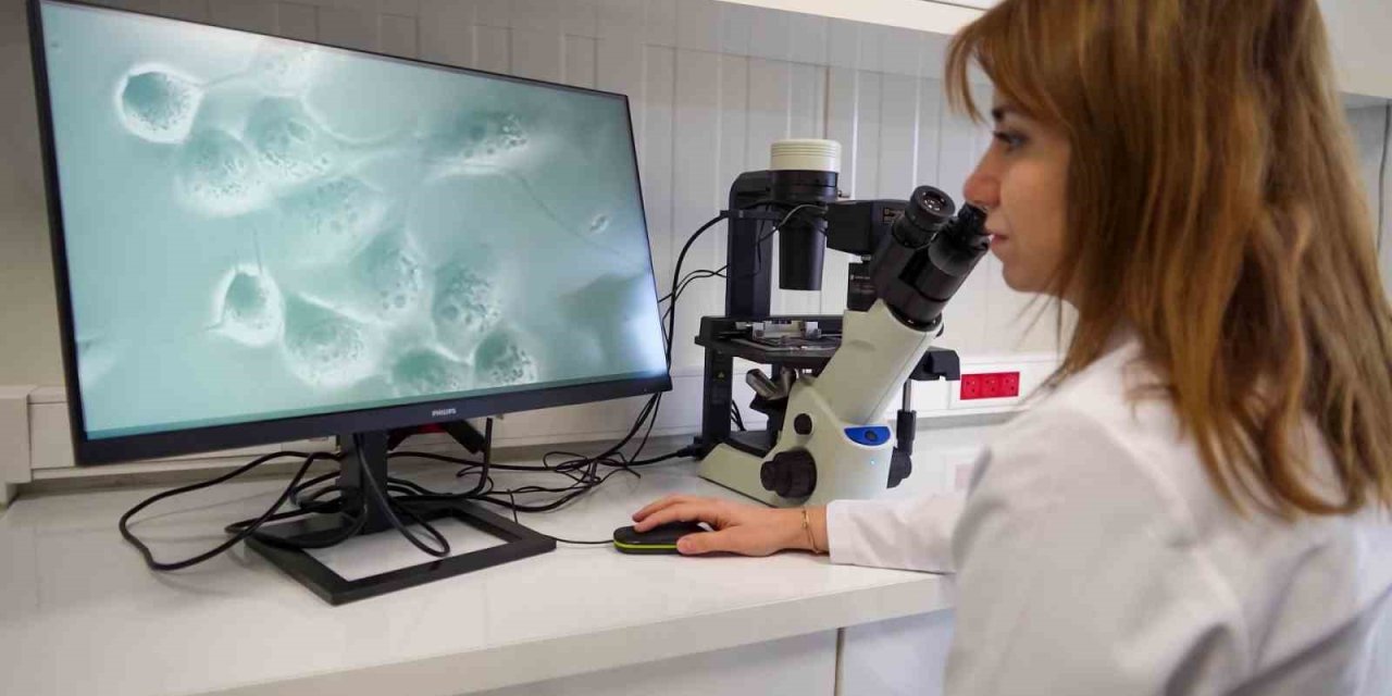 Medical Point’te klinik deneyim mühendislik gücü ile birleşti
