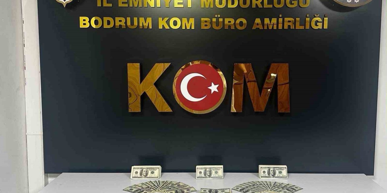 Bodrum’da sahte dolar operasyonu: 46 bin 200 dolar ele geçirildi