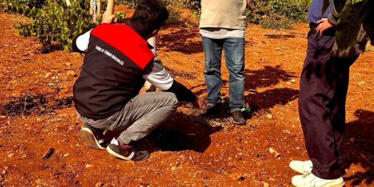Bekilli’de üreticilere toprak analizi eğitimi verildi