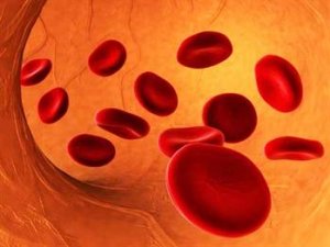 Hematolojik Hastalıklar Uluslararası Kongrede Tartışılacak