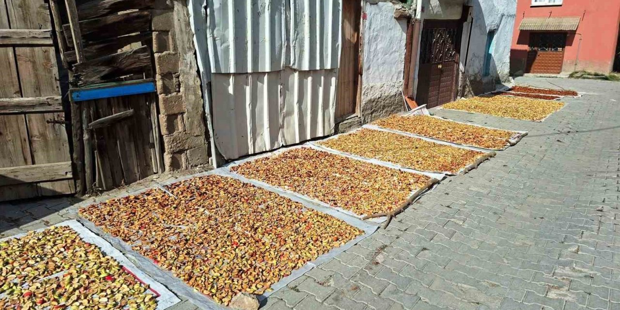 Hisarcık’ta elma kurusu fiyatı düştü, üretici yükseliş bekliyor