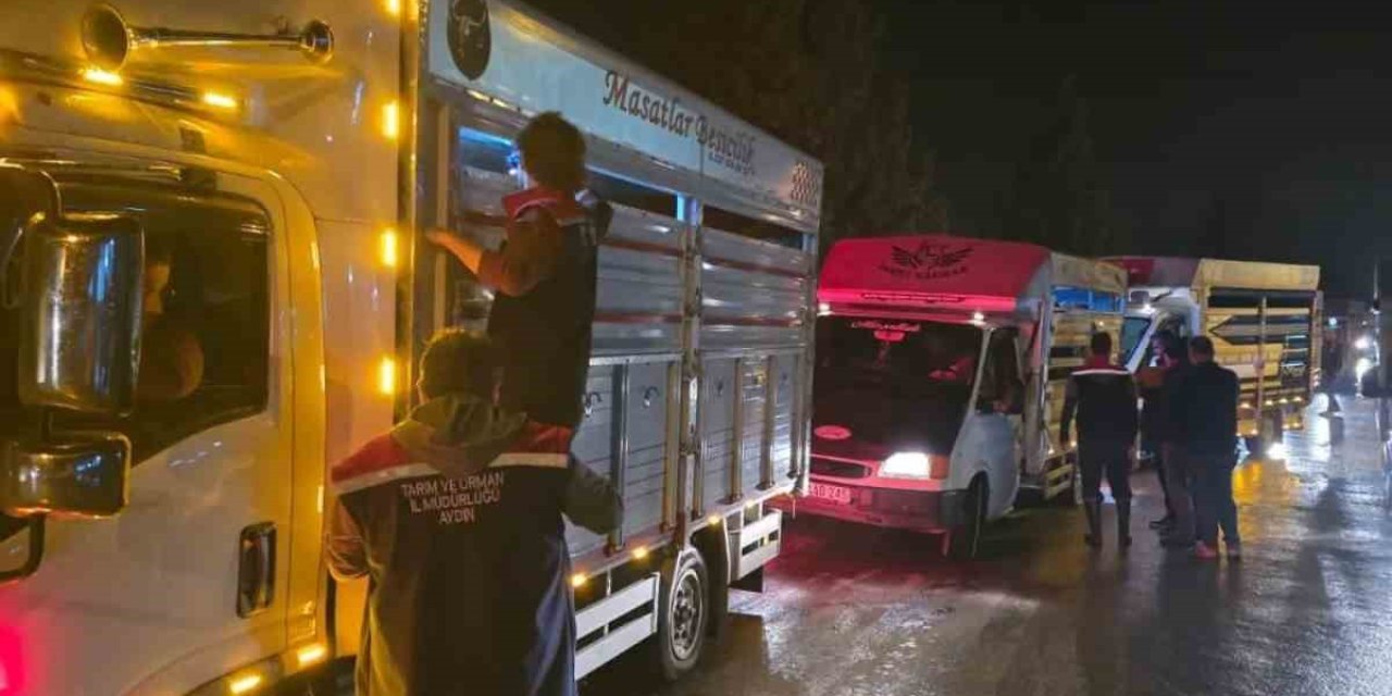 Çine Hayvan Pazarı denetimlerle yeniden açıldı