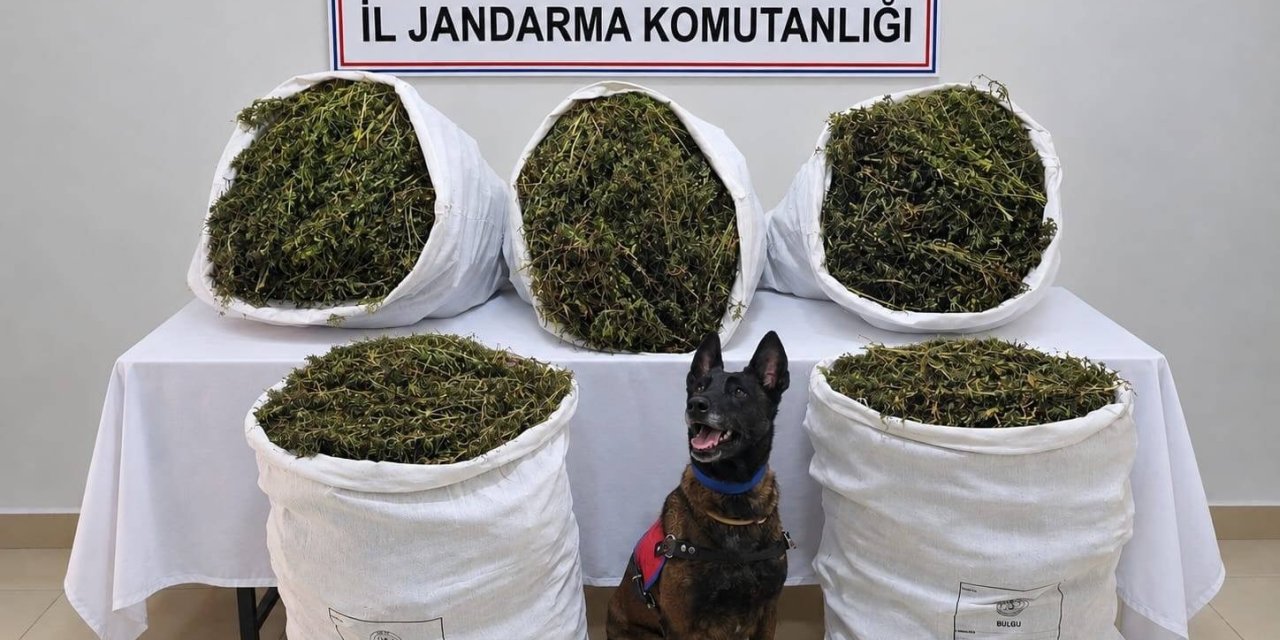 İzmir’de uyuşturucu operasyonu: 54 kilo 800 gram esrar ele geçirildi, 3 kişi tutuklandı