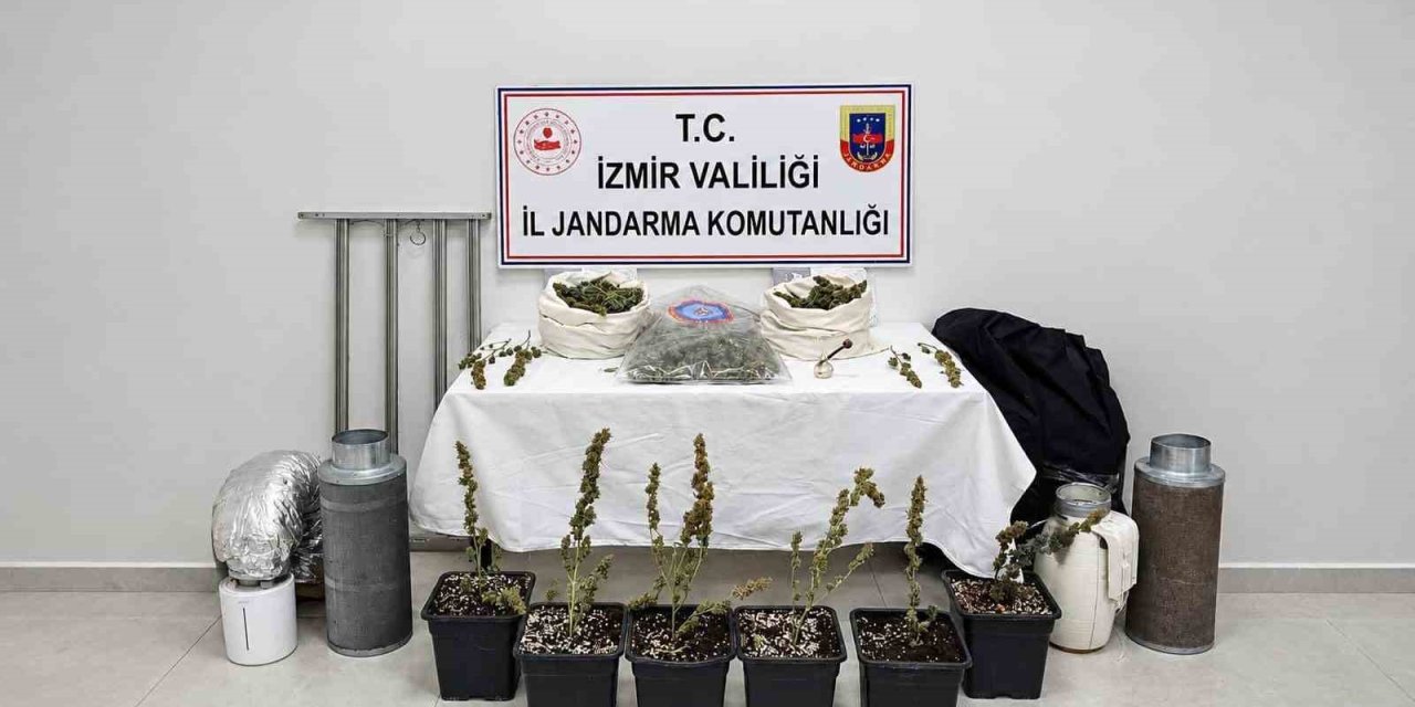 İzmir’de saksıda uyuşturucu yetiştiren şüpheli yakalandı