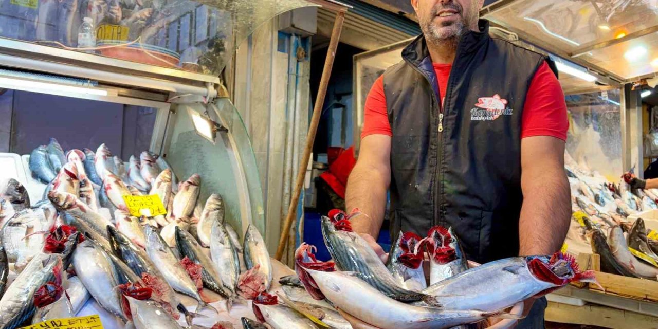 Tezgahların şampiyonu ’palamut’