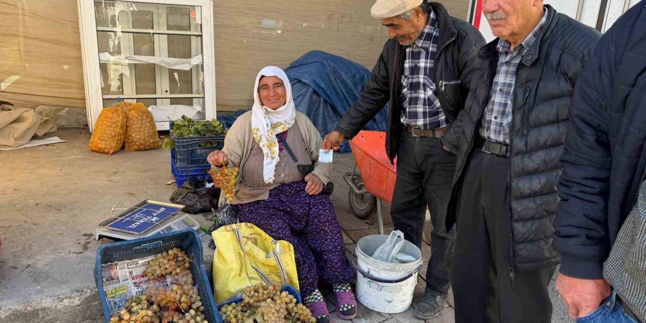 Çivril’in meşhur Koçak üzümü tezgâhlarda