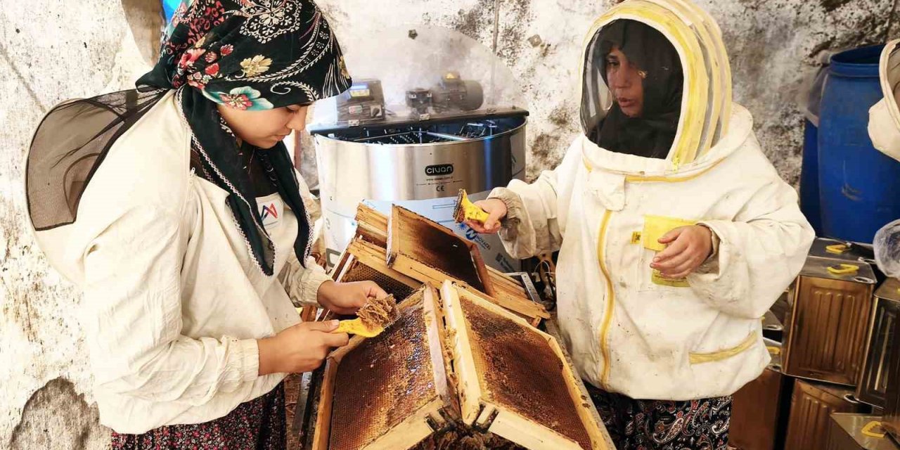 Çam balının başkenti Muğla’da glikozlu bal tepkisi