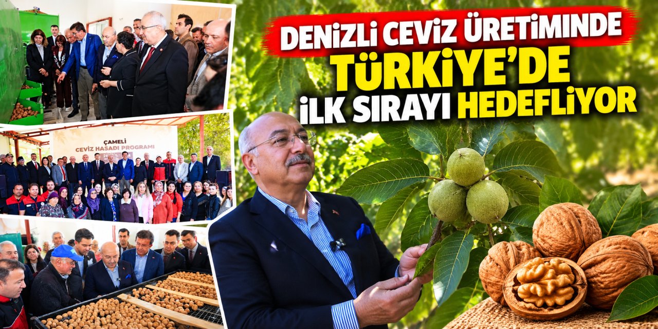 Denizli ceviz üretiminde Türkiye’de ilk sırayı hedefliyor
