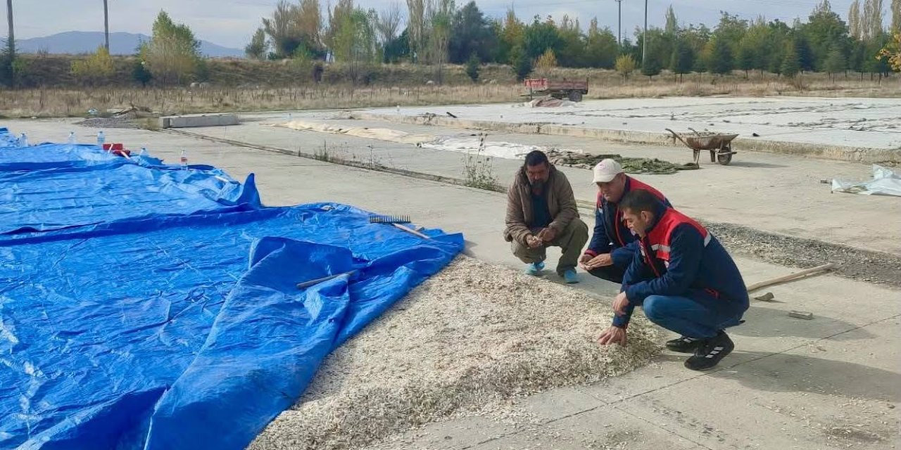 Çay’da kabak çekirdeği ve elma üreticilerine saha ziyareti