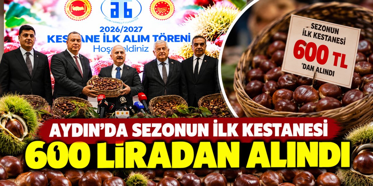 Aydın’da sezonun ilk kestanesi 600 liradan alındı