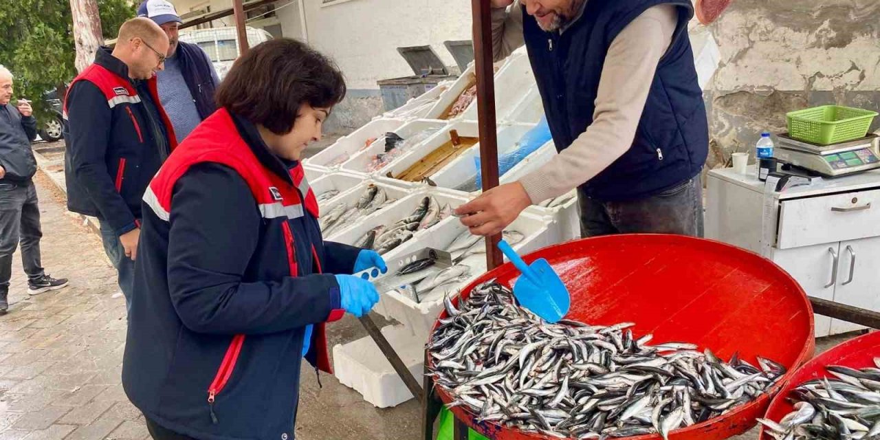Dazkırı’da balık satış noktalarına denetim