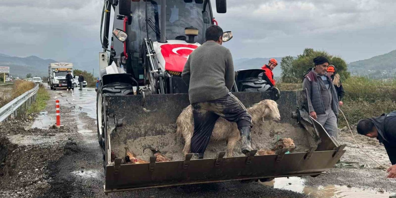 Muğla Dalaman sele teslim oldu