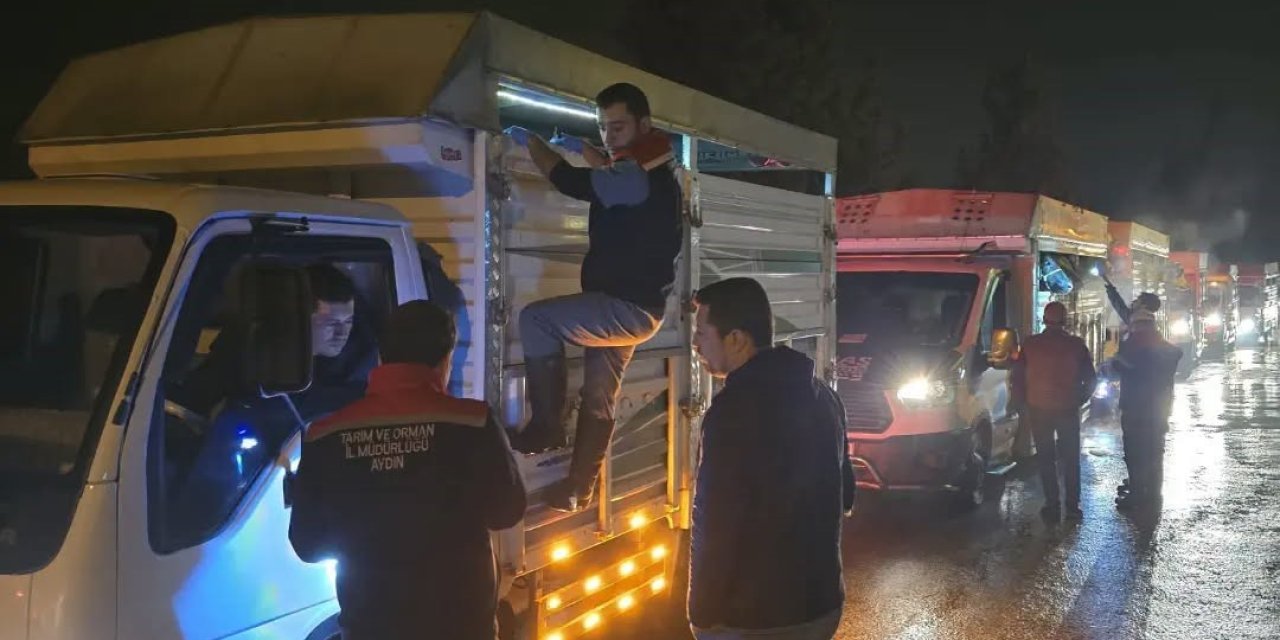 Aydın’da hayvan pazarlarında sıkı denetim