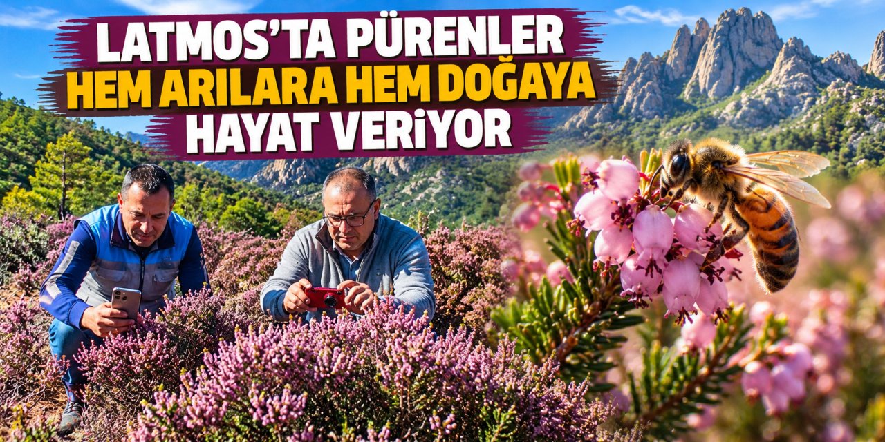 Latmos’ta pürenler hem arılara hem doğaya hayat veriyor