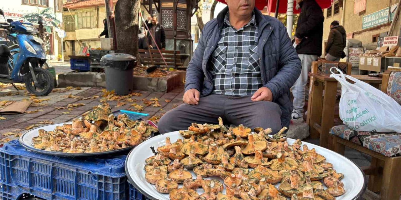 Tavşanlı’da melki mantarı hareketliliği başladı