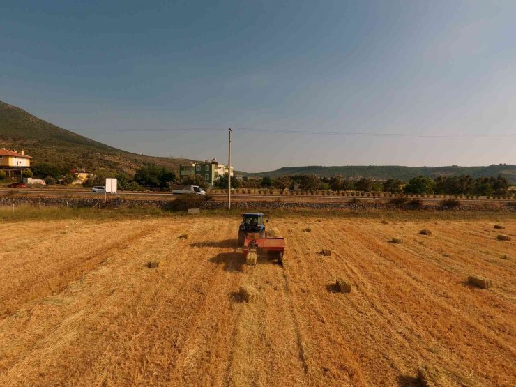 70 kadın üreticiye 700 saman balyası dağıtıldı