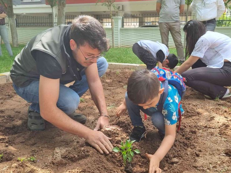 Aydın Büyükşehir Belediyesi’nin Ata Tohumları Projesi çocukların ellerinde büyüyor