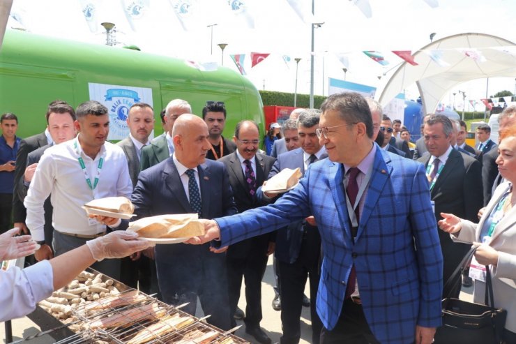 Türk balıkları ‘gardaş’ sofrasında: Bakü’de balık-ekmek şenliği