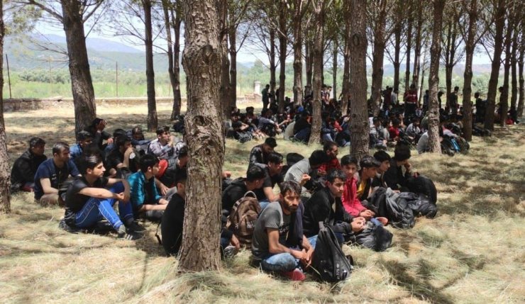 Muğla’da 237 düzensiz göçmen yakalandı