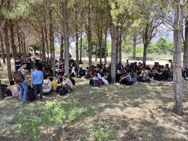 Muğla’da 237 göçmenin yakalandığı operasyonda 3 tutuklama