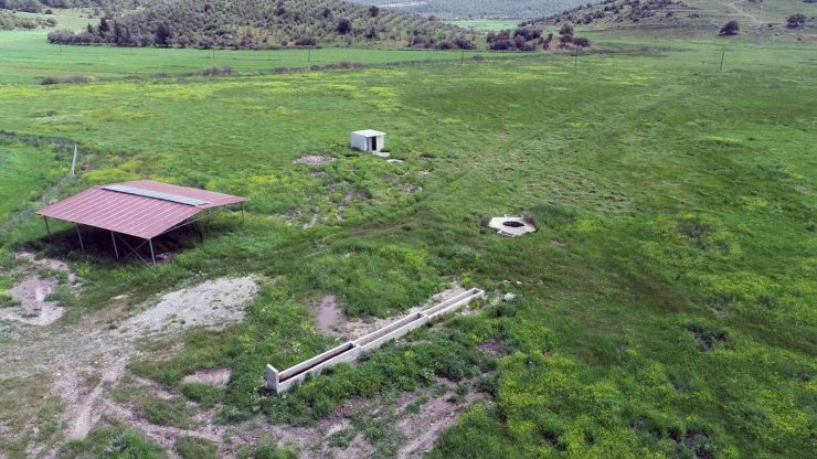 Muğla’da 4 yılda 19 bin dekar mera ıslahı yapıldı