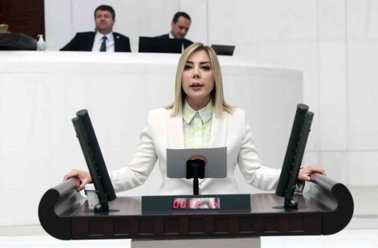 AK Partili Milletvekili Gökcan: “HDP şiddetin kendisidir”