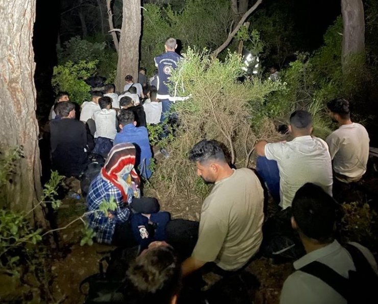 Muğla’da 81 düzensiz göçmen, 6 göçmen kaçakçısı yakalandı