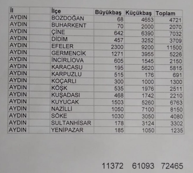 aydinda-ilce-ilce-kurban-sayisi.jpg