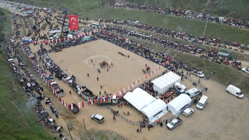 kuyucak-deve-guresi-12.jpg