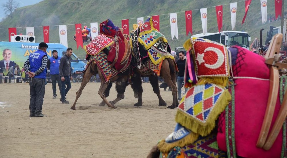 kuyucak-deve-guresi-7.jpg