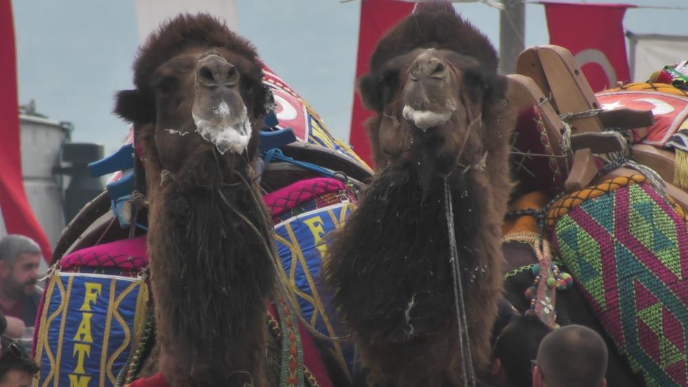 kuyucak-deve-guresi-8.jpg